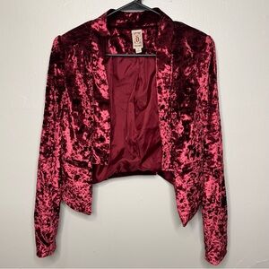 Decree Burgundy Red Crushed Velvet Cropped Blazer S Boho Mad Hatter Aesthetic